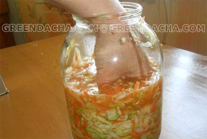 Укладываем в банки, утрамбовывая капусту кулаком.
