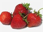 Клубника круглый год